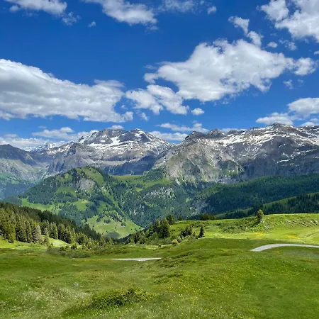 Résidence Sonnegg - Reimers - Vogel Zweisimmen