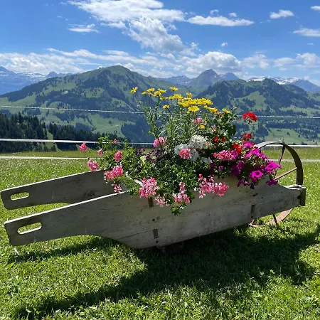 Apartment Sonnegg - Reimers - Vogel Zweisimmen