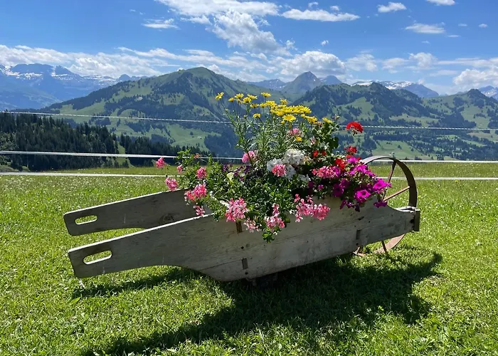 Appartamento Résidence Sonnegg - Reimers - Vogel Zweisimmen